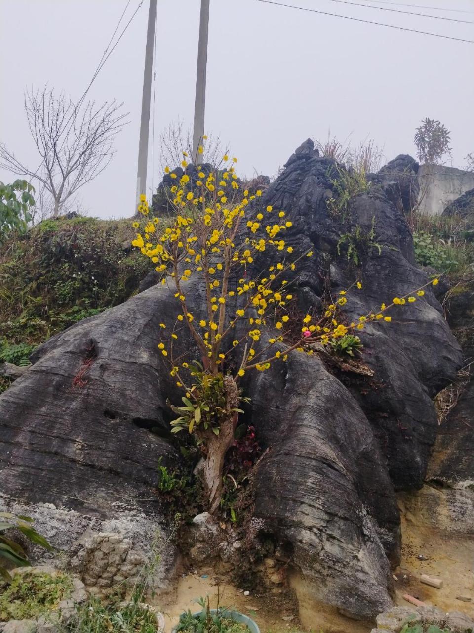 Ta Van Chu Homestay Bac Ha  Exterior foto